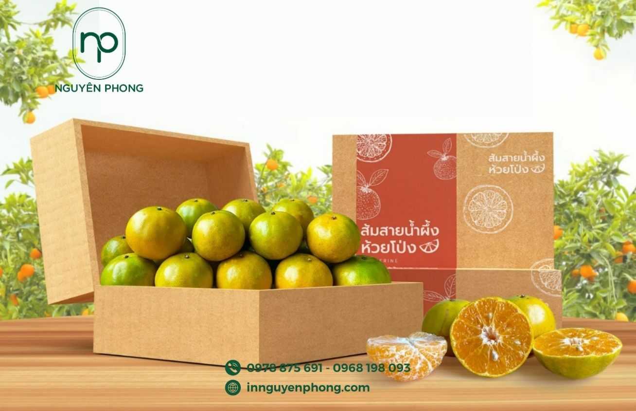 Thùng carton đựng quýt cấu tạo chắc chắn